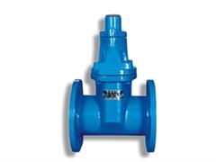 飲用水專(zhuān)用地下閘閥-飲用水專(zhuān)用地下彈性座封閘閥